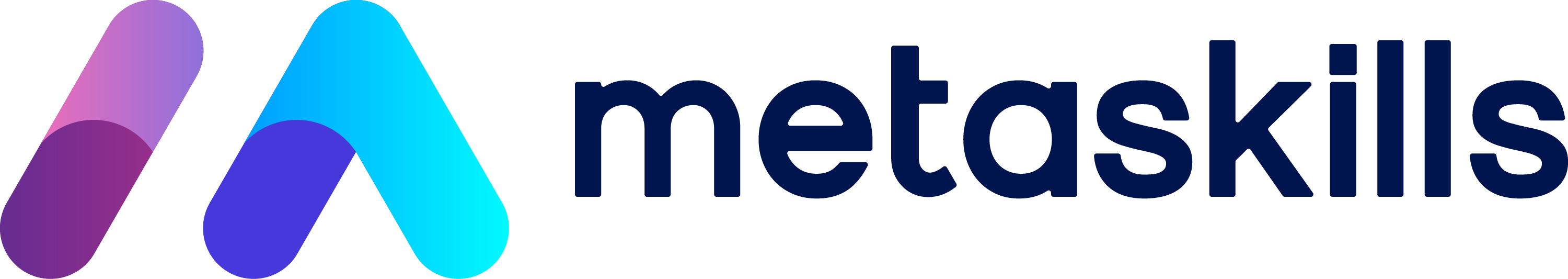 metaskills-logo-big